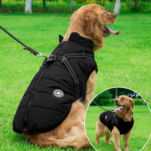 Other - 🎈3/$13 SALE ‼️Black Dog Jacket Vest  4XL